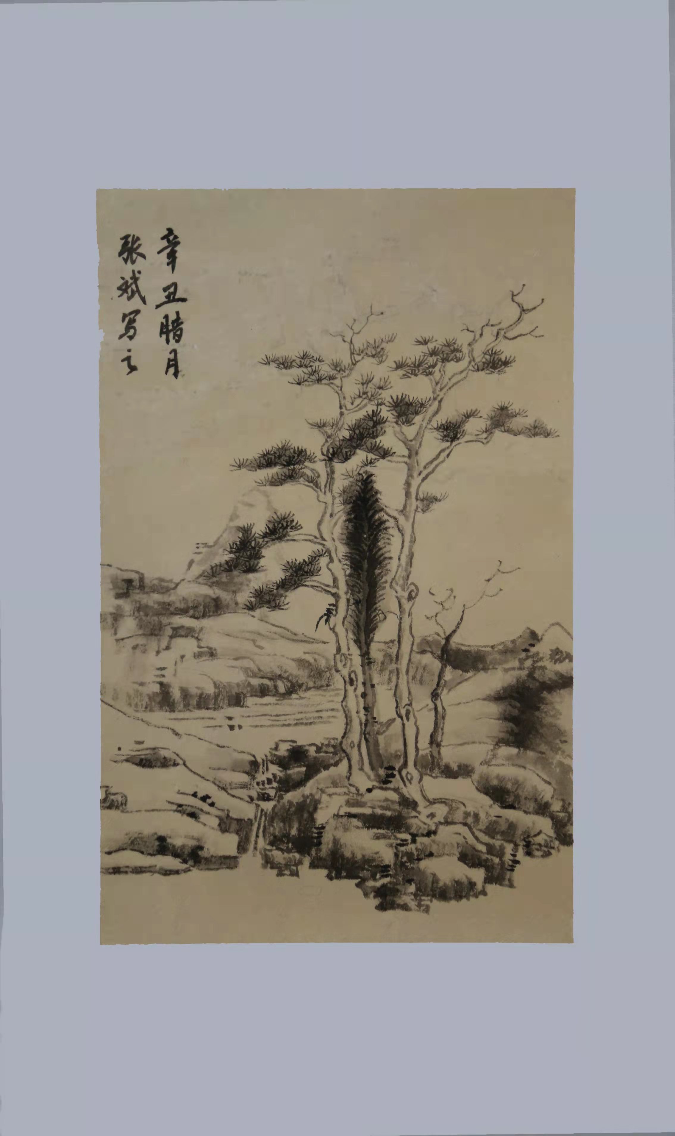 优秀奖：张斌