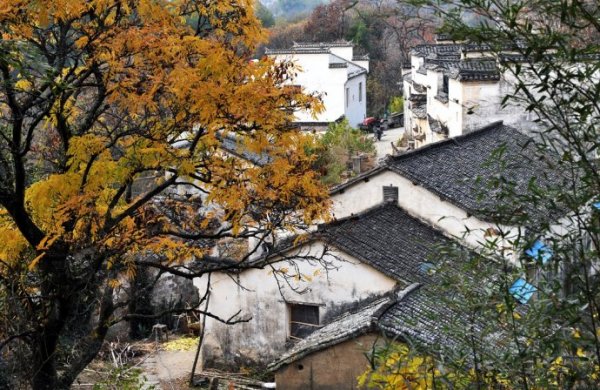 飘过记忆的炊烟